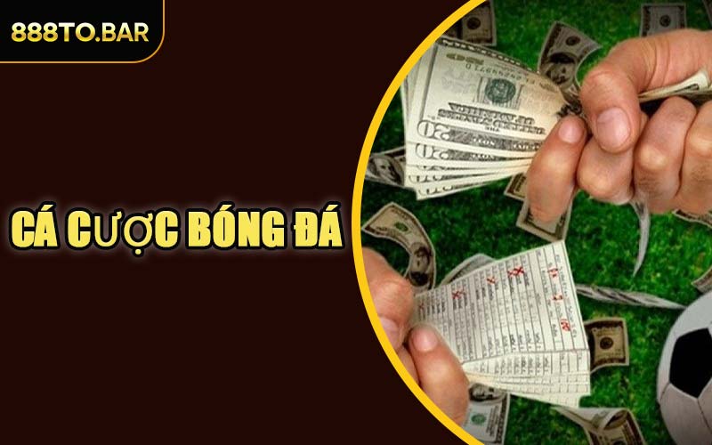 Cá Cược Bóng Đá