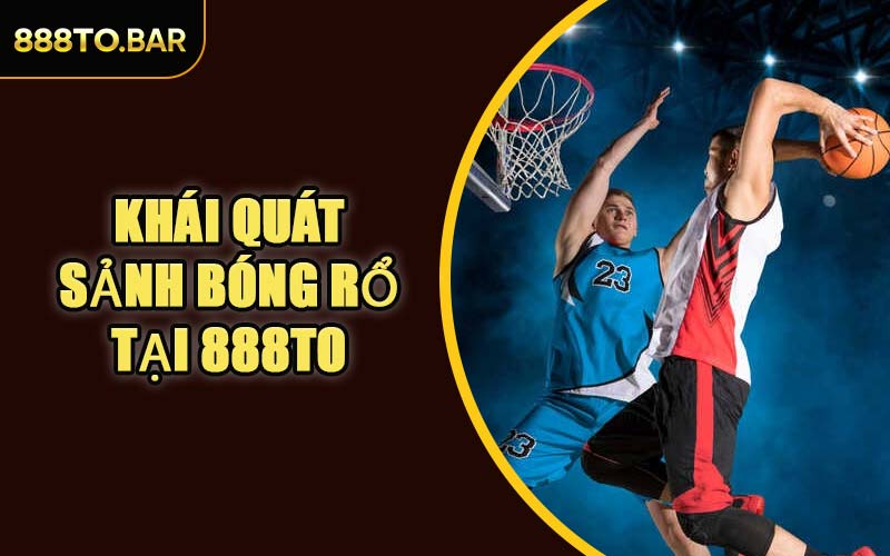 Khái Quát Sảnh Bóng Rổ Tại 888TO